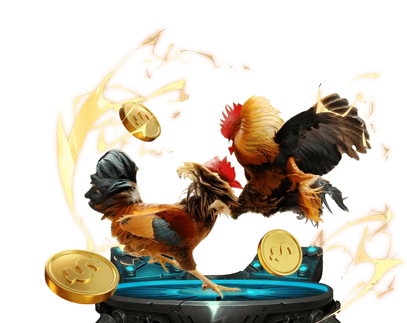 Hướng dẫn chơi máy đánh bạc